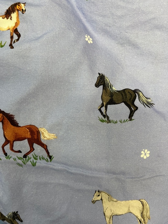 Anthropologie Other - Anthropologie Percale Cotton Horse Sky Full/Queen Sheet Set New out Of Package